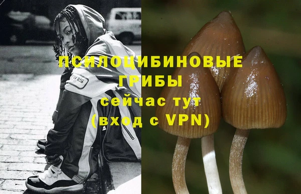 герыч Балахна