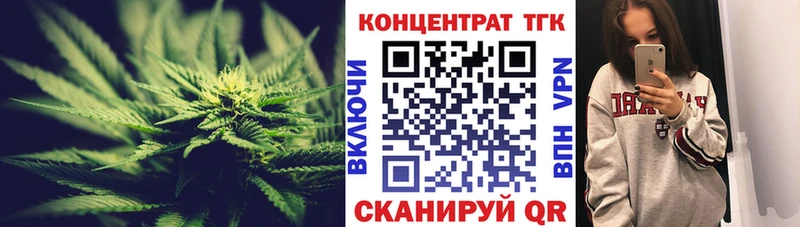 мега ТОР  цены наркотик  Нижняя Салда  Дистиллят ТГК THC oil 